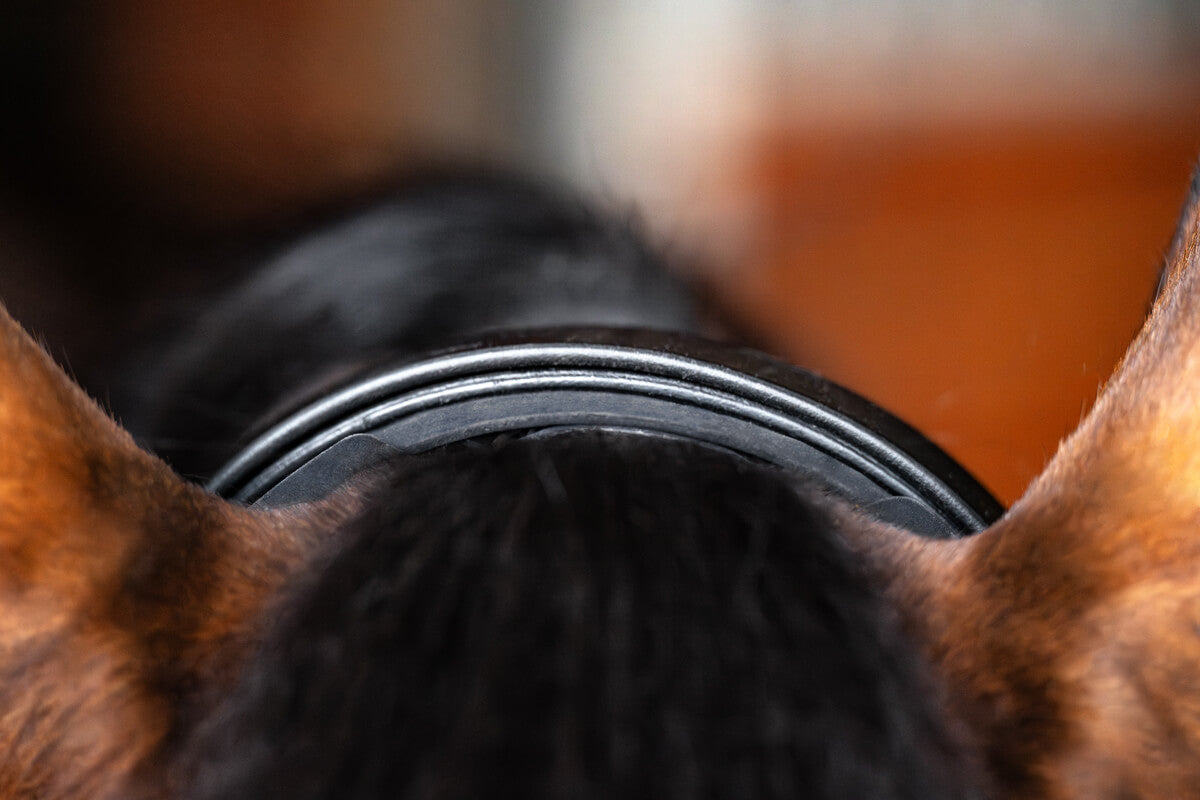 r3vobanD neck