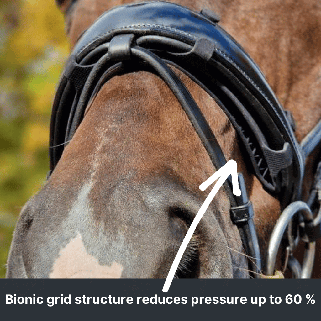 bionicgird.png__PID:e342396b-0135-4125-aaab-291f46fd489f