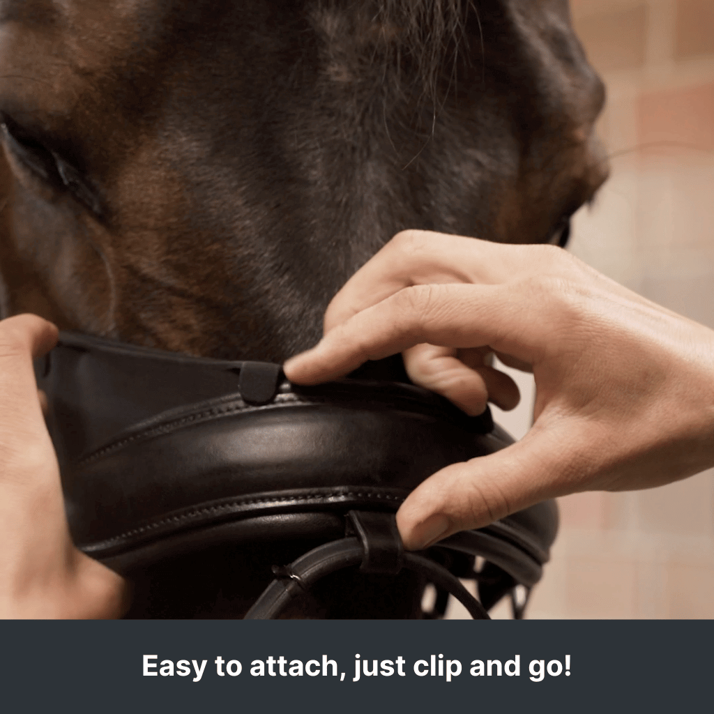 easyattach.png__PID:01351125-6aab-491f-86fd-489f46e6051f
